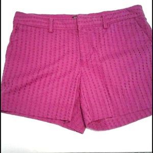 Banana Republic Retro Boho Romantic Magenta Eyelet Dressy Shorts 6